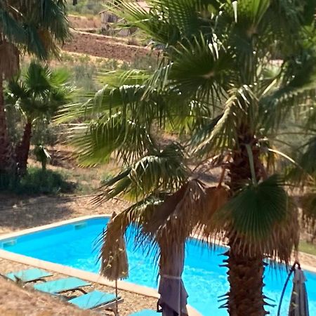 La Venturonne Appartement Neuf Rez De Jardin 45 M2 Vue Mer Et Vignes 10 Mn Des Plages Ле-Боссе Екстер'єр фото