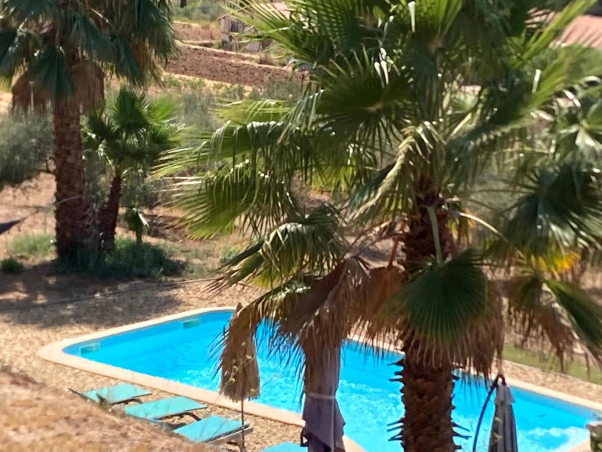 La Venturonne Appartement Neuf Rez De Jardin 45 M2 Vue Mer Et Vignes 10 Mn Des Plages Ле-Боссе Екстер'єр фото